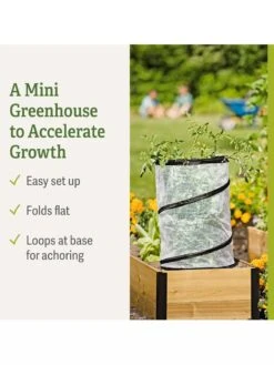 Pop-Up Tomato Accelerator -Garden Decor Store 8589749 feature 2