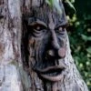 Friendly Ent Tree Face -Garden Decor Store 8589841 001v
