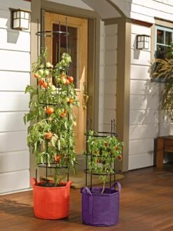 Gardener's Best® Tomato Grow Bag Set -Garden Decor Store 8590013 170 tif