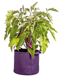 Gardener's Best® Universal Grow Bag -Garden Decor Store 8590024PR 214 tif
