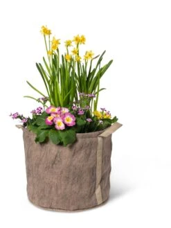 Gardener's Best® Universal Grow Bag -Garden Decor Store 8590024 7307 tif