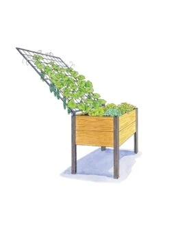 Elevated Planter Box And Space-Maker Pivoting Trellis Set, 2' X 4' -Garden Decor Store 8590247 SMTrellis 4ft tif