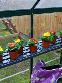 Canopia® By Palram Shelf Kit For Greenhouses, Set Of 2 Shelves -Garden Decor Store 8591033 09V jpg