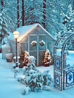 Canopia® By Palram Harmony™ Snap & Grow Greenhouse, 8' -Garden Decor Store 8591048 06V jpg