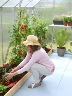 Canopia® By Palram Essence™ Greenhouse, 8' X 12' -Garden Decor Store 8591356 04V tif