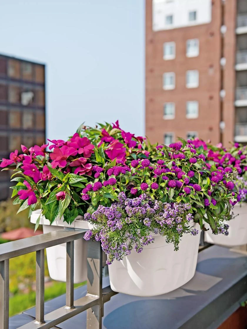 Self-Watering Saddle Railing Planter, 16" 3 Self-Watering Saddle Railing Planter, 16"