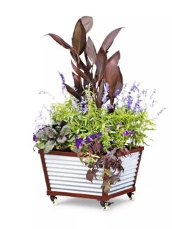 Galvanized Self-Watering Planters -Garden Decor Store 8592176 5067 tif