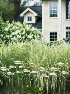 Fish Out Of Water Garden Stakes, Set Of 5 -Garden Decor Store 8593672 9124 tif