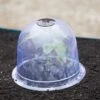 Medium Garden Cloches, Set Of 6 -Garden Decor Store 8593985 347 tif