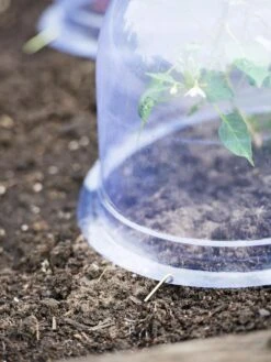 Medium Garden Cloches, Set Of 6 -Garden Decor Store 8593985 9441 tif