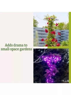 Essex Tuteur, 63" -Garden Decor Store 8594162 3