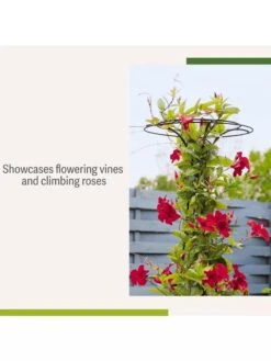 Essex Tuteur, 63" -Garden Decor Store 8594162 4