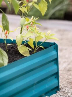 Demeter Corrugated Metal Raised Bed, 34" X 68" -Garden Decor Store 8594183 470 tif 1