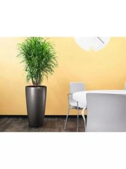 Lechuza® Rondo Self-Watering Planters -Garden Decor Store 8594586 02V tif