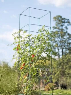 Mammoth Tomato Towers, Set Of 2