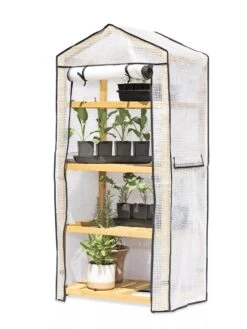 VegTrug® Patio Greenhouse -Garden Decor Store 8595803 7136 tif