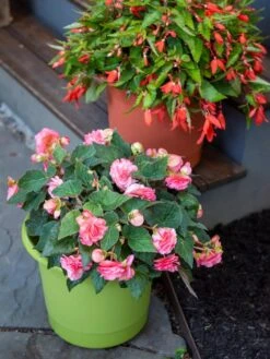 Eezy Gro Self-Watering Planters -Garden Decor Store 8596427 0034 tif