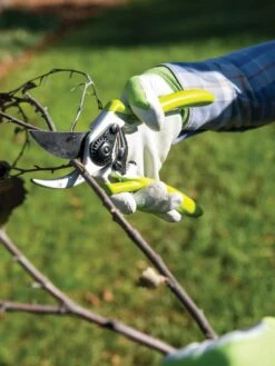 Gardener's Pro Pruner #2 -Garden Decor Store 8596605 032 tif