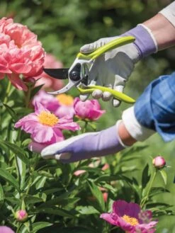 Gardener's Pro Pruner #2 -Garden Decor Store 8596605 1261 tif