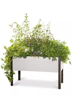 Eco-Stained Elevated Planter Box, 2'x4' 15 Eco-Stained Elevated Planter Box, 2'x4' -Garden Decor Store 8596759 3837 tif