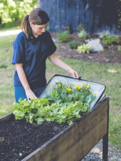 Pop-Up Crop Protector -Garden Decor Store 8596763 EasyCropProtector gif