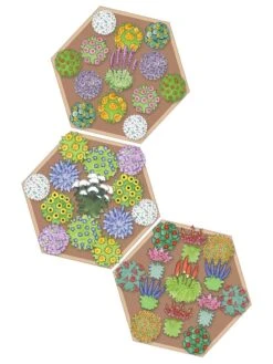 Pollinator Garden Bed 8 Pollinator Garden Bed -Garden Decor Store 8597000 Hummingbird Plan tif