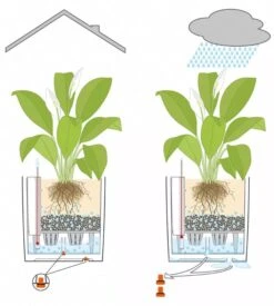 Lechuza® Cube Premium Planters -Garden Decor Store 8597506 05V tif