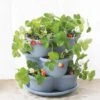 Stacking Strawberry Pot -Garden Decor Store 8597996 9004 tif