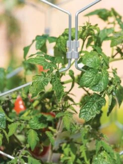 Gardener's Vertex Lifetime Tomato Cage -Garden Decor Store 8598426 0011 tif