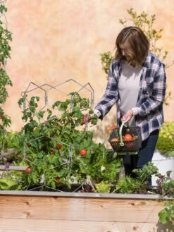 Gardener's Vertex Lifetime Tomato Cage -Garden Decor Store 8598426 0026 tif