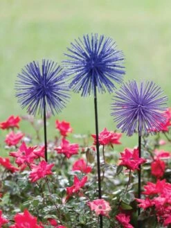 Everbloomin' Alliums, Set Of 3 -Garden Decor Store 8598435 1000 tif