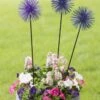 Everbloomin' Alliums, Set Of 3 -Garden Decor Store 8598435 9007 tif