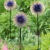 Allium Starburst Stake 1 Allium Starburst Stake -Garden Decor Store 8598981 13717 tif