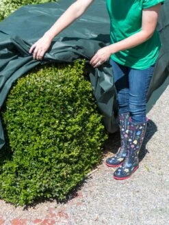 The Planket® Frost Protection Plant Cover, 10' X 20' -Garden Decor Store 8599101 0929 tif