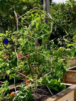 Gardener's Vertex Lifetime Pepper And Eggplant Cage -Garden Decor Store 8599554 01CUST tif