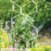 Gardener's Vertex Lifetime Pepper And Eggplant Cage 2 Gardener's Vertex Lifetime Pepper And Eggplant Cage -Garden Decor Store 8599554 3000 tif