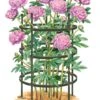 Titan Peony Supports, Large, Set Of 2 -Garden Decor Store 8599857 0001 art tif