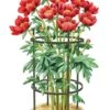 Titan Peony Supports, Medium, Set Of 2 2 Titan Peony Supports, Medium, Set Of 2 -Garden Decor Store 8599858 0001 art tif