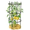 Titan Pepper Eggplant Cages, Set Of 3 -Garden Decor Store 8599859 0001 art tif