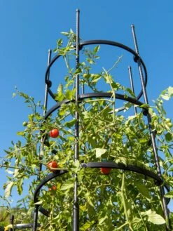 Titan Tall Tomato Cages, Set Of 3 -Garden Decor Store 8599860 0066 tif