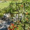 Titan Tomato Cages, Set Of 3 -Garden Decor Store 8599861 0049 tif