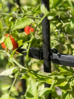 Titan Tomato Cages, Set Of 3 -Garden Decor Store 8599861 0079 tif 1