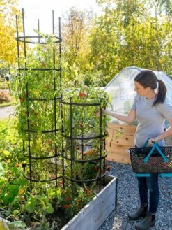 Titan Tomato Cages, Set Of 3 -Garden Decor Store 8599861 0114 tif