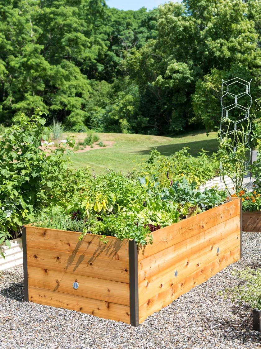 Elevated Raised Bed, 4' X 8' 3 Elevated Raised Bed, 4' X 8'