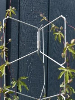 New Arrival -Garden Decor Store 8599997 0052 tif