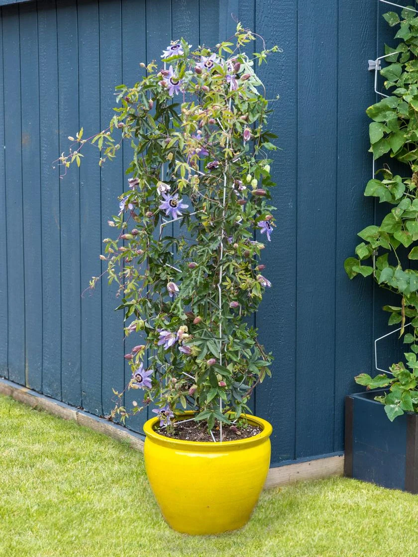 Vertex Universal Tower 3 Vertex Universal Tower