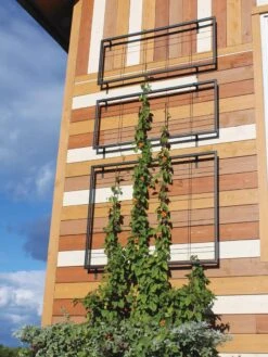 Exeter Wall Trellis -Garden Decor Store 8600049 7121 tif