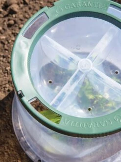 Sunny Forcing Cloches, Set Of 3 -Garden Decor Store 8600075 0742 tif