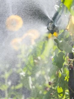 Landscape 4-Way Cooling Mist Kit, 50' -Garden Decor Store 8600154 0695 tif