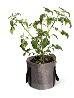 Reinforced Colorful Grow Bags -Garden Decor Store 8600229 0944 tif